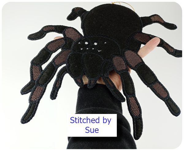 Large Spider by Sue