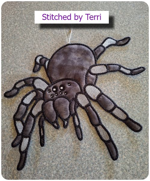 Large Spider by Terri